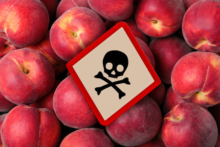 Skull and crossbones sign on ripe peaches, top view. Be careful - toxicの写真素材