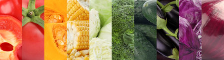 Collage with different fresh ripe vegetables. banner designの写真素材