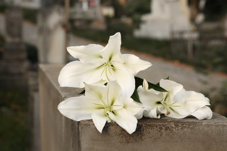 White lilies on gray tombstone outdoors, closeup. Funeral ceremonyの写真素材