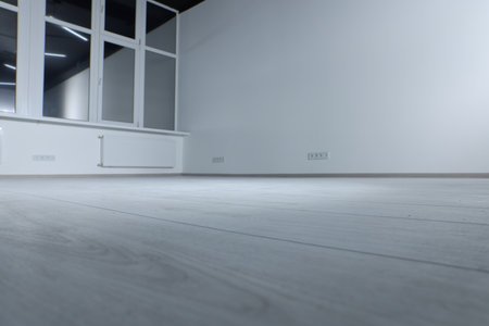 New empty room with clean windows and white walls