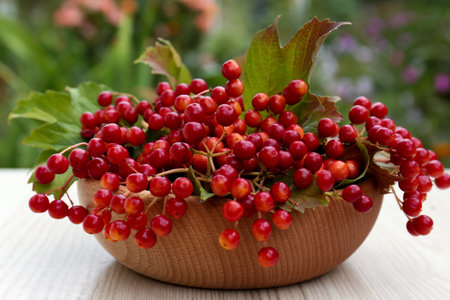 Bowl with ripe viburnum berries on white wooden table outdoors