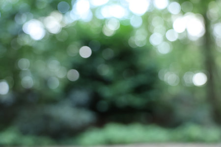 Blurred view of green trees in the forest