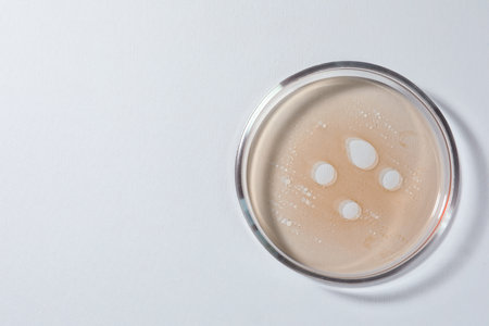 Petri dish with beige liquid on white background, top view. Space for textの写真素材