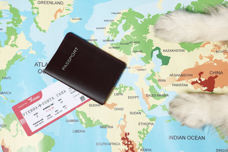 Dog lying near passport and ticket on world map, top view. Traveling with petの写真素材
