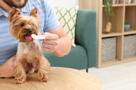 Man brushing dog's teeth on wooden table at home, closeup. Space for textの写真素材
