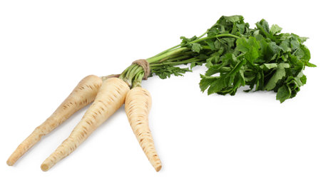 Tasty fresh ripe parsnips on white backgroundの写真素材