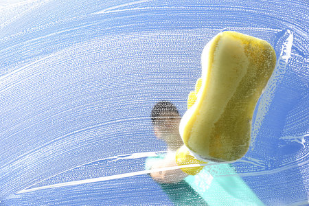 Woman cleaning glass with sponge on sunny dayの写真素材