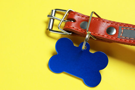 Leather dog collar with blue tag in shape of bone on yellow background, closeup. Space for textの写真素材