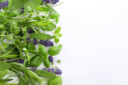 Many different aromatic herbs on white background, flat lay. Space for textの写真素材