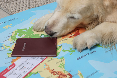 Dog lying near passport and ticket on world map, closeup. Traveling with pet