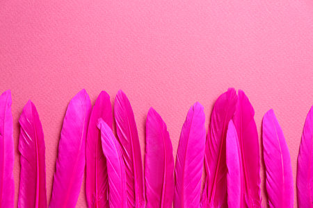 Bright beautiful feathers on pink background, flat lay. Space for textの写真素材