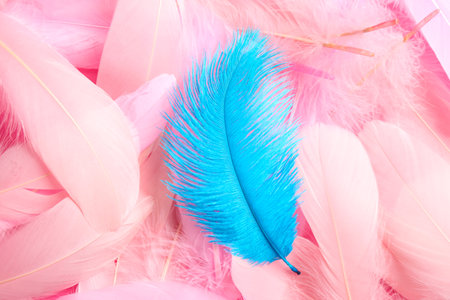 Many different fluffy bright feathers, closeup viewの写真素材