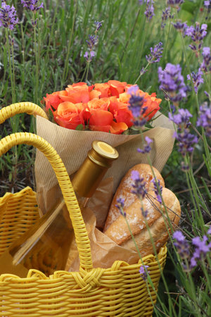 Yellow wicker bag with beautiful roses, bottle of wine and baguettes in lavender field, closeupの写真素材