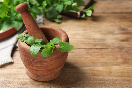 Mortar with pestle and fresh lemon balm on wooden table, space for textの写真素材
