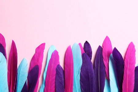 Bright feathers on pink background, flat lay. Space for textの写真素材