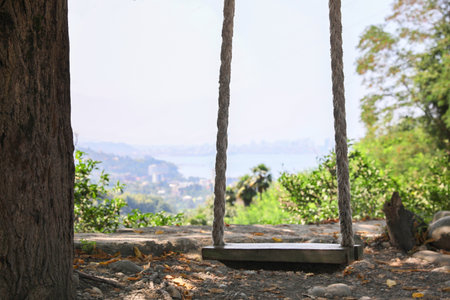 Beautiful wooden swing with ropes in mountain forestの写真素材