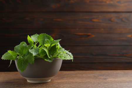 Fresh lemon balm in bowl on wooden table, space for text