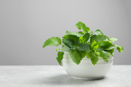 Bowl with fresh green lemon balm leaves on light gray table, space for textの写真素材