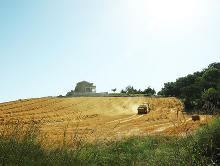 Modern combine harvester working in agricultural field