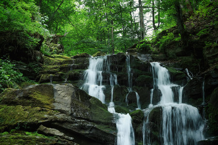 Picturesque view of waterfall and rocks in forest