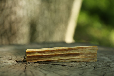Palo santo stick on wooden stump outdoors, closeupの写真素材
