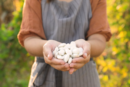Woman holding white beans in hands outdoors, closeupの写真素材