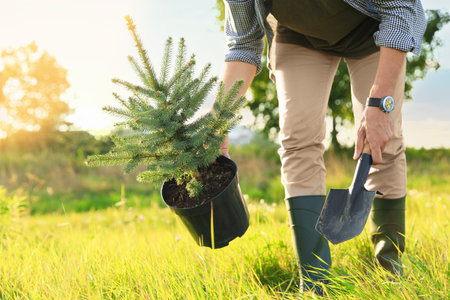 Man with conifer tree and shovel in meadow, closeupの写真素材