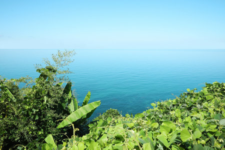 Picturesque view of sea and lush green plantsの写真素材