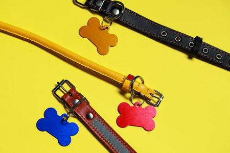 Color leather dog collars with tags in shape of bone on yellow background, flat layの写真素材