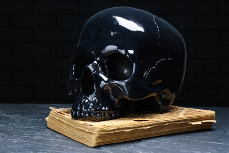 Glossy skull with book on dark gray table, closeupの写真素材