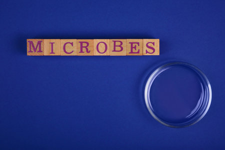 Word Microbes made with wooden cubes and magnifying glass on blue background, top view. Space for...