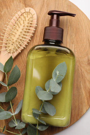 Shampoo bottle, hair brush and green leaves on white table, top viewの写真素材
