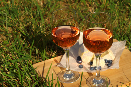 Wooden board with glasses of delicious rose wine, cheese and blueberries on green grass outdoorsの写真素材