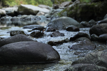 Beautiful view of small stream and stones outdoors, closeup