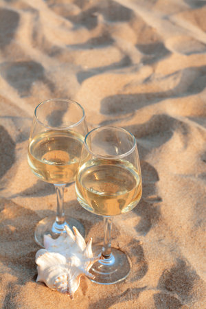 Glasses of tasty wine and seashell on sand, space for textの写真素材