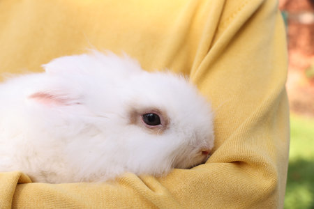 Woman with cute fluffy white pet rabbit outdoors, closeupの写真素材