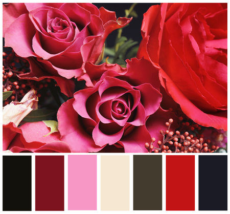 Beautiful fresh flowers and color palette. Collageの写真素材