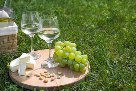 Delicious white wine, grapes, cheese and nuts on green grass outdoors. Space for textの写真素材