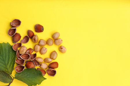 Tasty organic hazelnuts and leaves on yellow background, flat lay. Space for textの写真素材