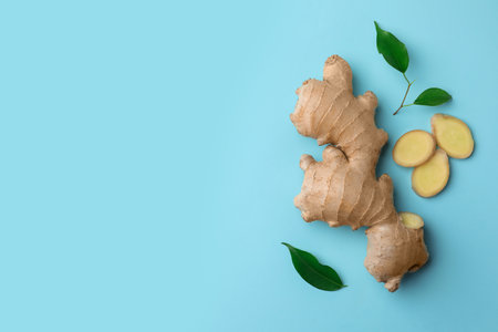 Fresh ginger with green leaves on pale light blue background, flat lay. Space for textの写真素材