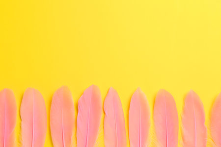 Beautiful pink feathers on yellow background, flat lay. Space for textの写真素材