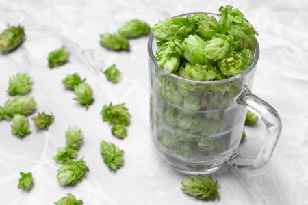 Glass mug with fresh green hops on light gray marble table, closeup
