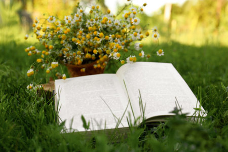 Open book and chamomiles on green grass outdoors, closeup