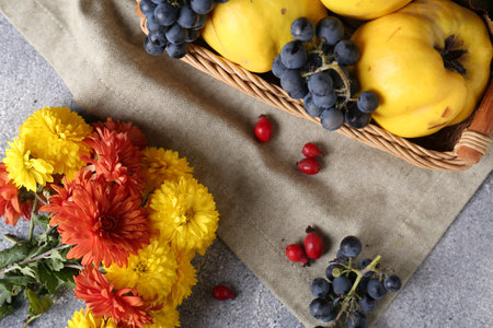 Flat lay composition with beautiful chrysanthemum flowers, rose hip berries and sweet fruits on gray tableの写真素材