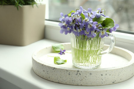 Beautiful wood violets in glass cup on window sill indoors, space for text. spring flowers