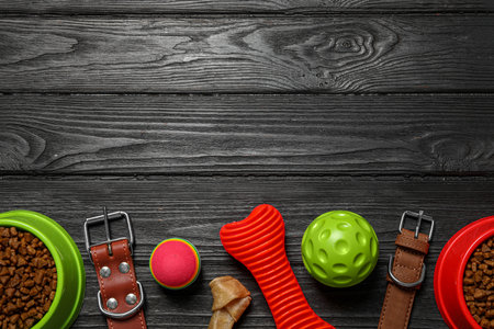 Flat lay composition with dog collars, toys and food on black wooden table. Space for textの写真素材