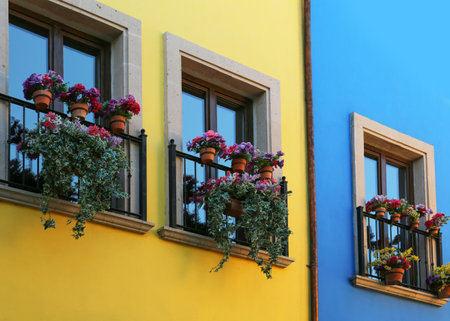 Buildings with beautiful windows, balconies and potted flowersの写真素材