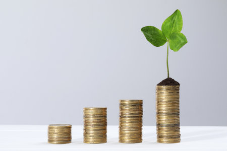 Stacks of coins with green sprout on white table against light gray background, space for text. investment conceptの写真素材