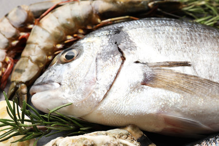 Fresh raw dorado fish, rosemary and shrimps, closeupの写真素材