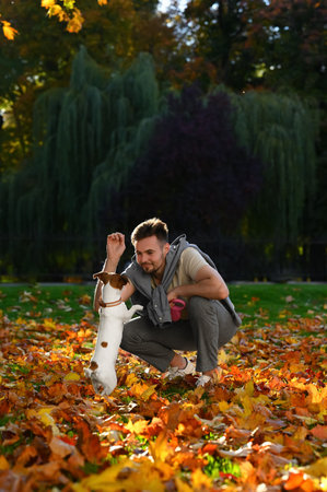 Man with adorable Jack Russell Terrier in autumn park. dog walkingの写真素材